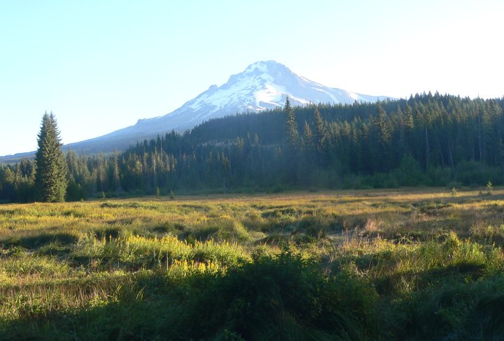 Mt. Hood from Summit Meadow