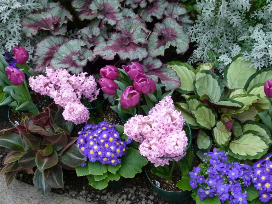 Gaiser Conservatory Spokane
