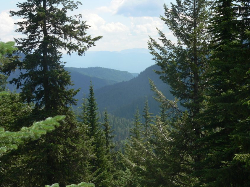 View towards Priest Lake from west