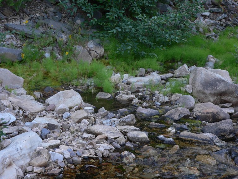 Pine Creek Silver Valley